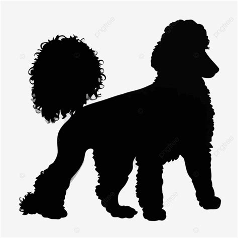 Caniche Silueta Vector PNG Pegatina Clipart Silueta PNG Y Vector