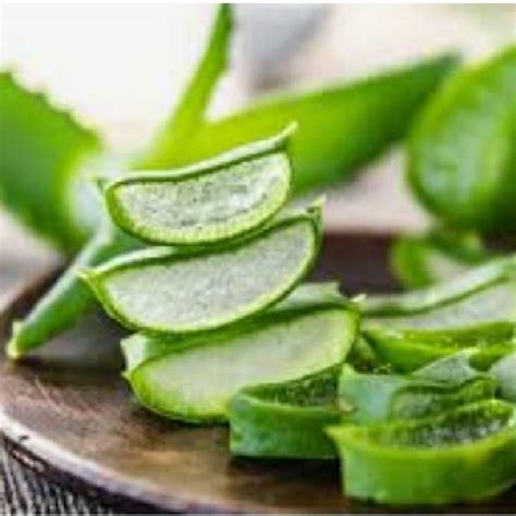 Aloe Vera E I Suoi Benefici