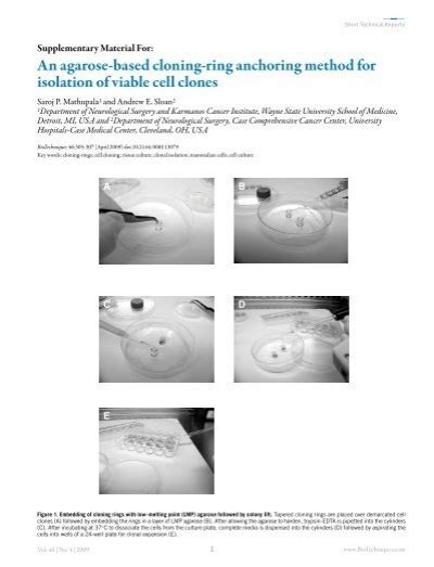 An Agarose Based Cloning Ring Anchoring Method Biotechniques