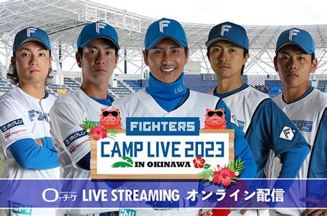 北海道日本ハムファイターズ春季キャンプ2023｜スポーツのチケット ローチケ[ローソンチケット]