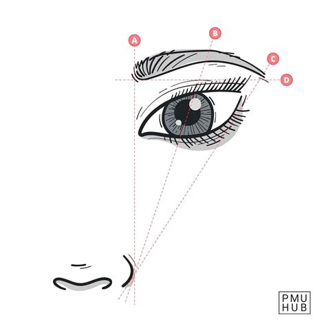 How to Draw Symmetrical Eyebrows for PMU: Tips & Tools