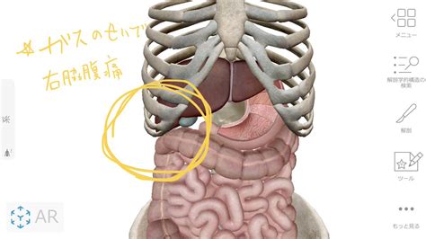 右 脇腹 痛い 病気