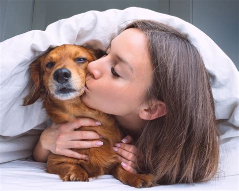 6 Research-Backed Reasons to Sleep with Your Dog - Modern Dog Magazine