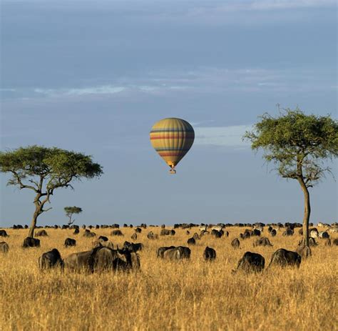 Kenia Safari Zu Den Drehorten Von „jenseits Von Afrika“ Welt