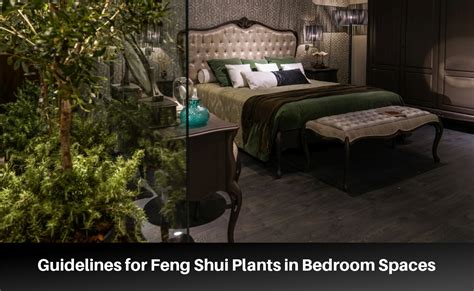 Simple Rules for Feng Shui Plants in Bedroom Spaces