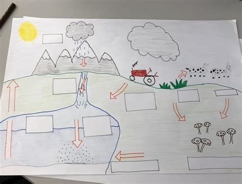 Phosphorus Cycle Apes Diagram Quizlet