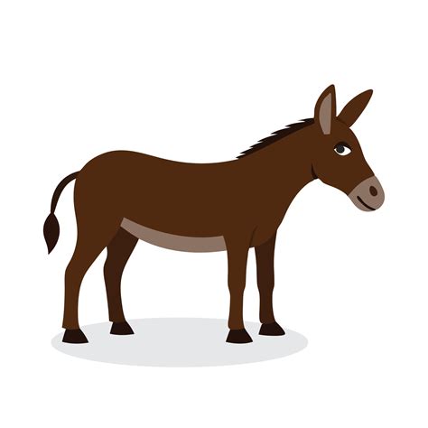 mule animal 9
