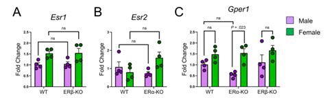 Sex Differences In Colonic Inflammation Are Driven By Epithelial