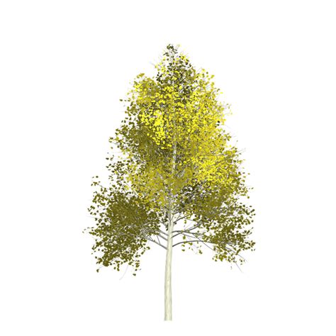 Download Aspen, Tree, Painted Tree. Royalty-Free Stock Illustration ...