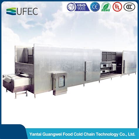 IQF Fluidized Tunnel Freezer Fluidized Flow Bed Freezer Industrial