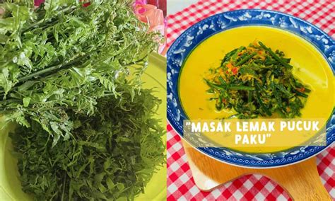 Siapa Kata Sajian Tradisi Sukar Disediakan Jom Buat Masak Lemak Pucuk