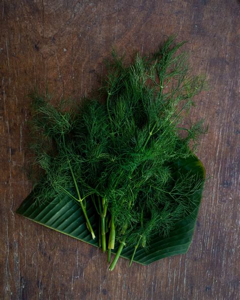 dill island organics bali