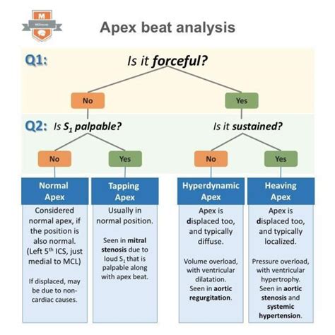 Examination of the Cardiac Apex Beat • Mediscuss • Algorithm for Apical ...