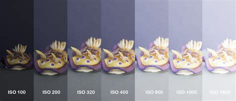 iso comparison waterdog photography