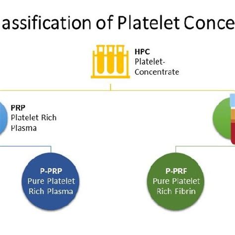 Classification Of Platelet Concentrates Download Scientific Diagram