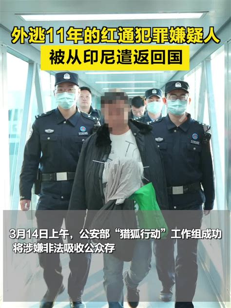 外逃11年的红通犯罪嫌疑人被从印尼遣返回国