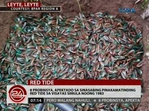 24 Oras 8 Probinsya Apektado Sa Sinasabing Pinakamatinding Red Tide