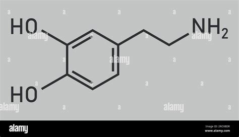 Chemical structure of Dopamine (C8H11NO2). Chemical resources for ...