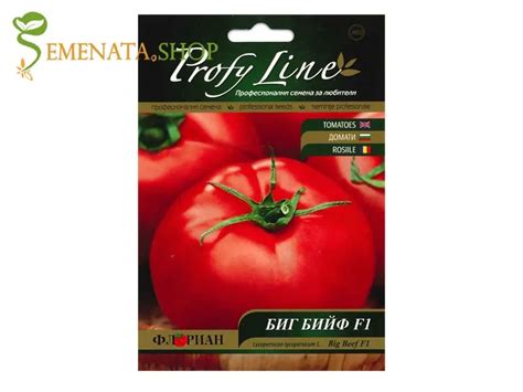 Professional Seeds Of Big Beef F1 Tomatoes For Greenhouses And