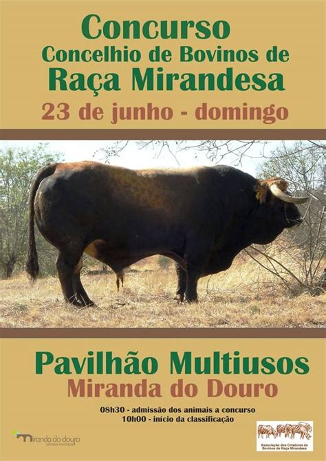 Concurso Concelhio De Bovinos De Ra A Mirandesa Miranda Do Douro