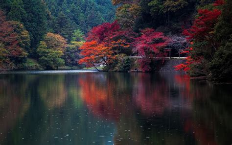 Japan Sunlight Trees Landscape Lake Water Nature Reflection