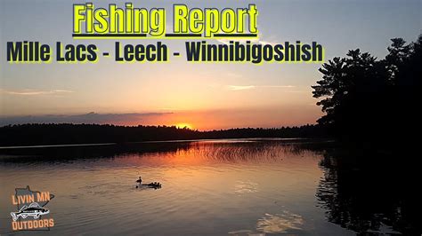 Fishing Report Mille Lacs Lake Leech Lake And Lake Winnibigoshish 09 09