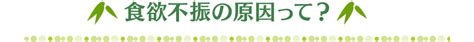 なんだか食欲がない。食欲不振に『ササヘルス』