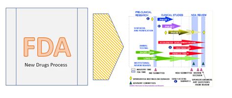 Fda Drug Approval Process