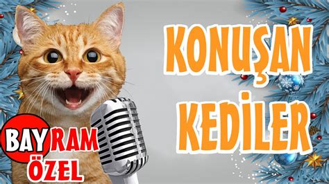 Konu An Kediler En Komik Kedi Videolar Bayram Zel Youtube