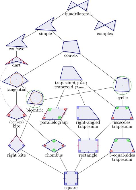 Quadrilateral Hierarchy Worksheet Worksheets Library