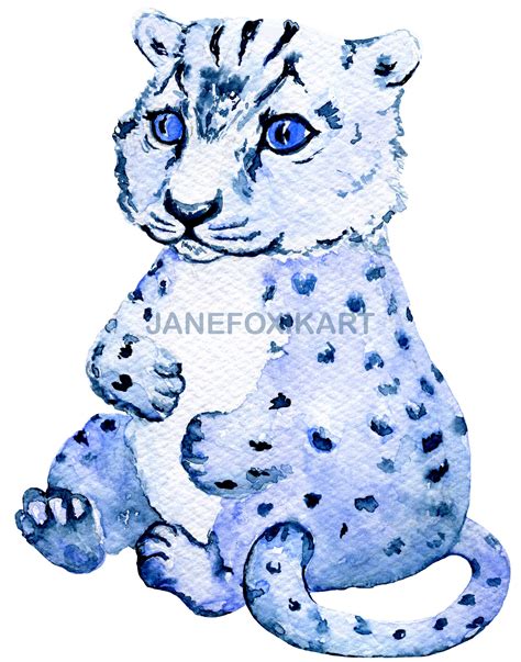 Snow Leopard Cub Watercolor Painting Isolated Illustration By