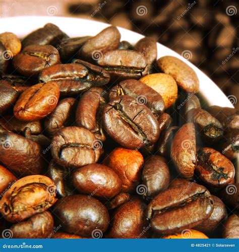 Fresh Roasted Coffee Beans stock image. Image of bean - 4825421