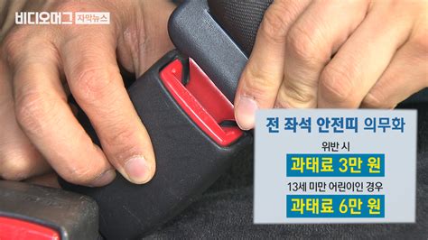 전 좌석 안전띠 생각도 못 했어요단속 현장 가보니 Sbs 뉴스 인쇄하기