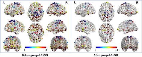 Frontiers Feature Selection And Combination Of Information In The