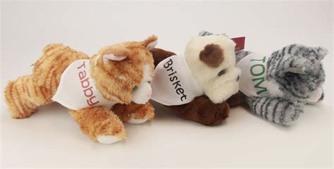 Personalized Stuffed Animal Mascots Tom Tabby And Brisket