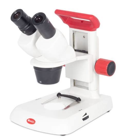 Lupa EstereoscÓpica Binocular Motic Red 30s Equipar