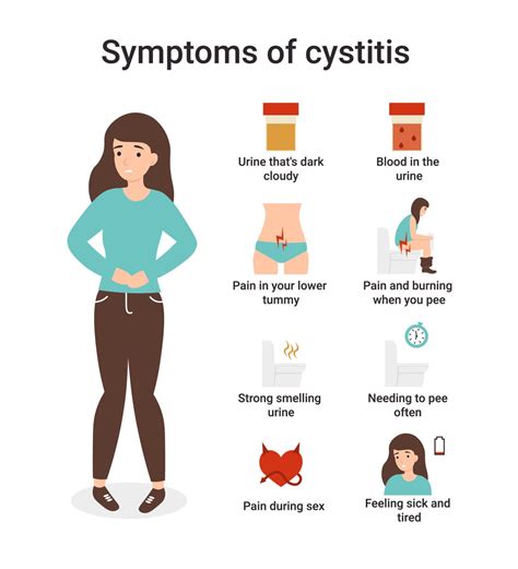 Verano Y Cistitis Mubes Fisioterapia