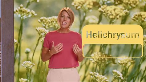 D Terra Helichrysum Touch Youtube