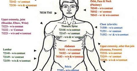 What Is The Cpt Code For An Echocardiogram Proquestyamaha Web Fc