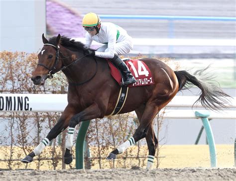 ウィリアムバローズが待望の重賞初勝利！坂井騎手「強い内容」と絶賛／東海s 競馬写真ニュース 日刊スポーツ