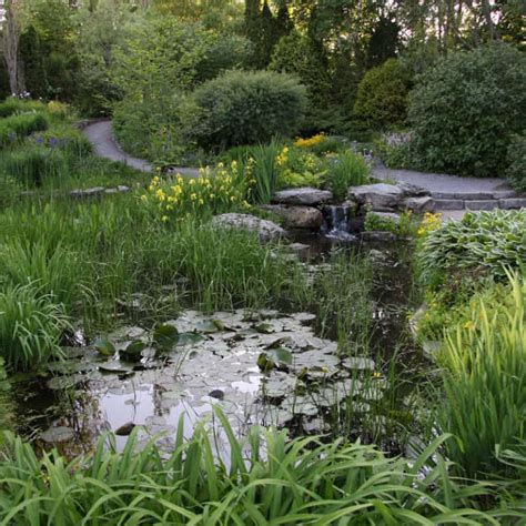 30 Wildlife Pond Design Ideas for Animals & Critters - Pond Informer