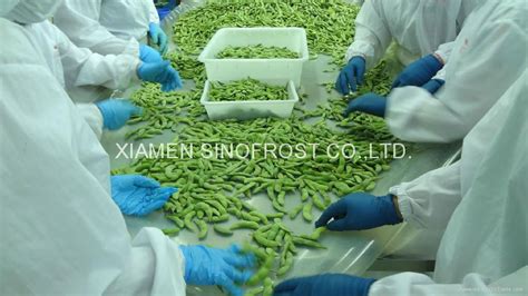 Iqf Edamame In Pods Frozen Edamame Iqf Green Soybeans Frozen Green