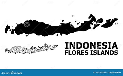 Solid And Network Map Of Indonesia Flores Islands Stock Vector