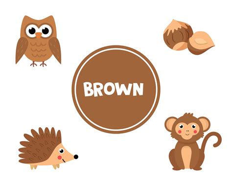 Learning brown color for preschool kids. Educational worksheet. 2170955 Vector Art at Vecteezy