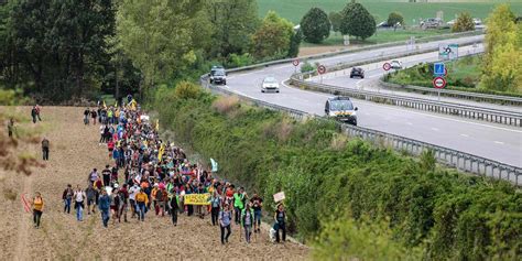 Projet dautoroute A69 les députés écologistes vont lancer une