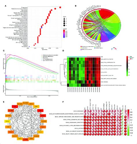 Enrichment Analysis And Correlation Analysis Of Degs In The Kegg Download Scientific Diagram