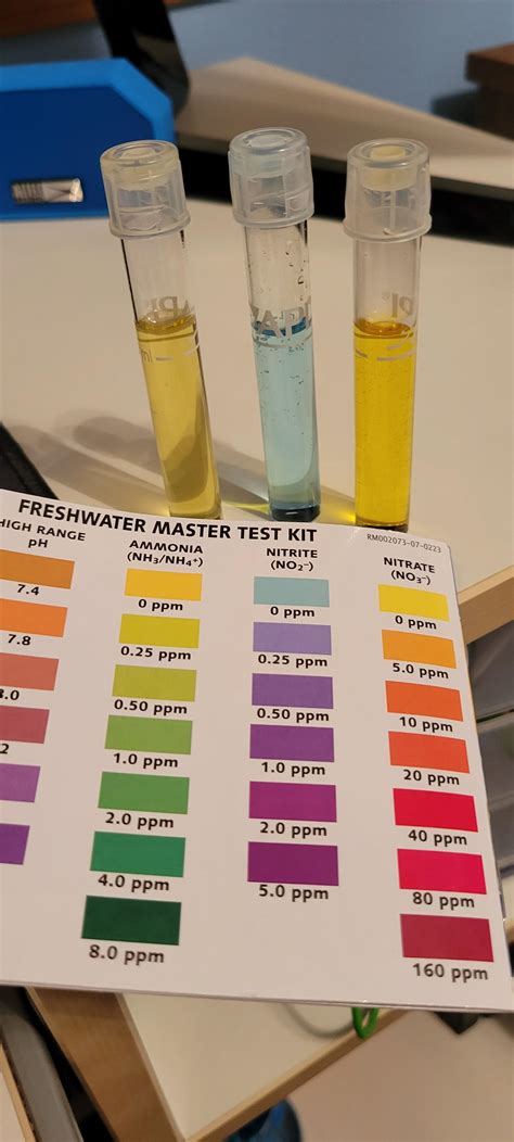 Been verified com results can change your hiring decisions 14