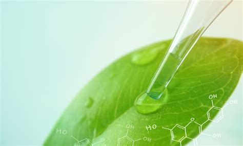 Theory Of Organic Chemistry – Edukite