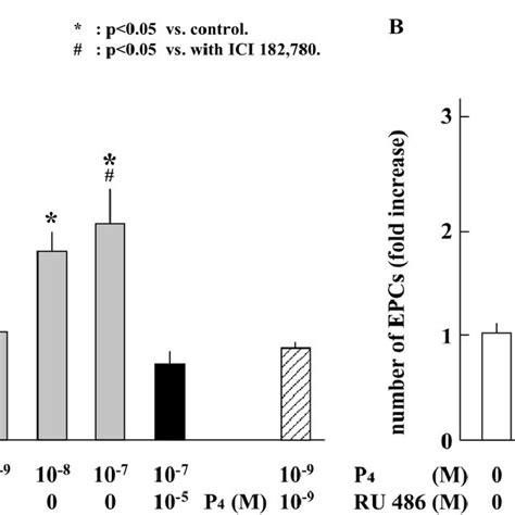 Effects Of E2β Or P4 On The Proliferation Of Epcs From Menstrual Phase