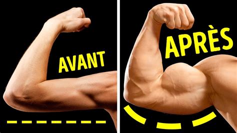 7 Exercices Géniaux Pour Développer de Gros Biceps Depuis Chez Toi